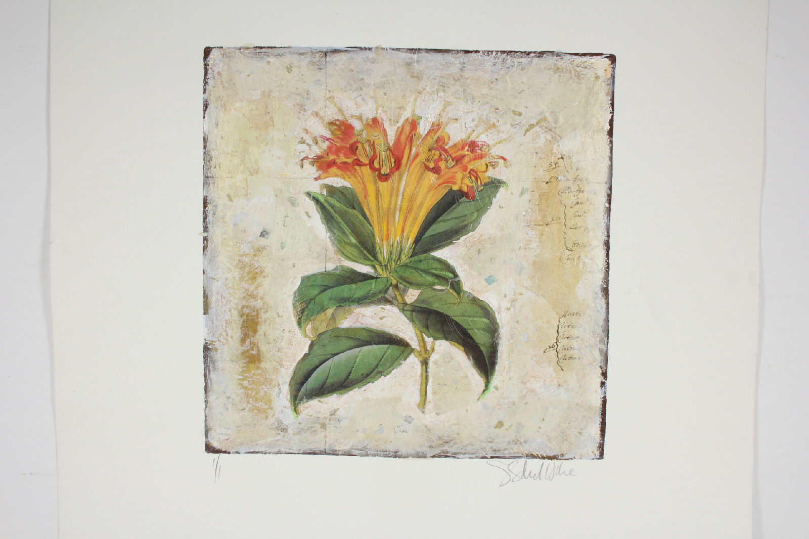 ORIGINAL Signed Mono-print (1/1) by Starlie Sokol-Hohne, Listed Artist